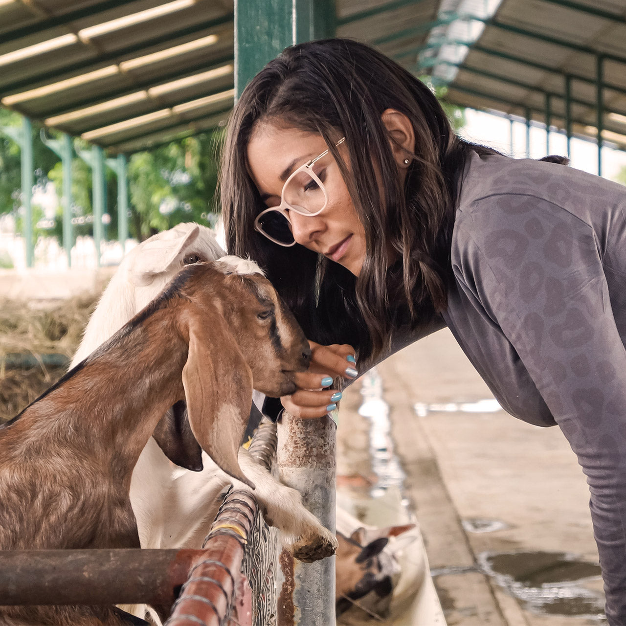 How to prepare your farm for goat kidding season